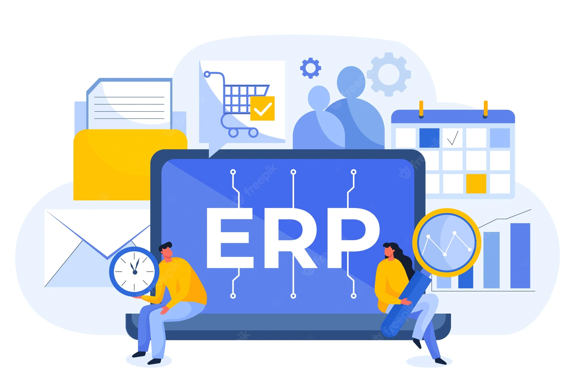 ERP Software Services ERP Software Services